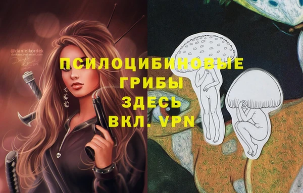 гидра Бронницы