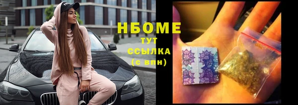 гидра Бронницы