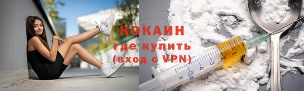 гидра Бронницы