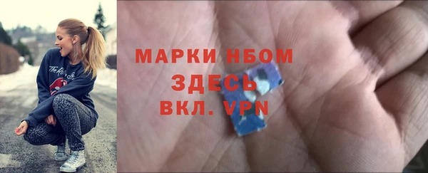 гидра Бронницы