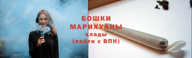 гидра Бронницы