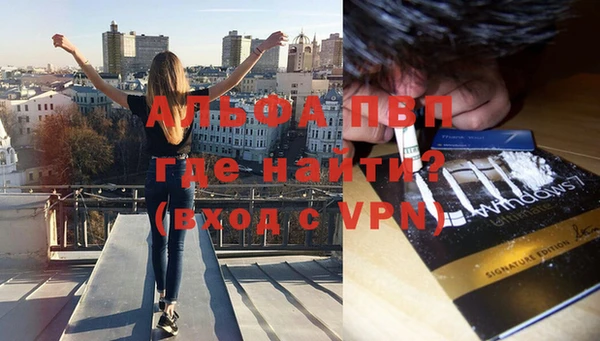 гидра Бронницы