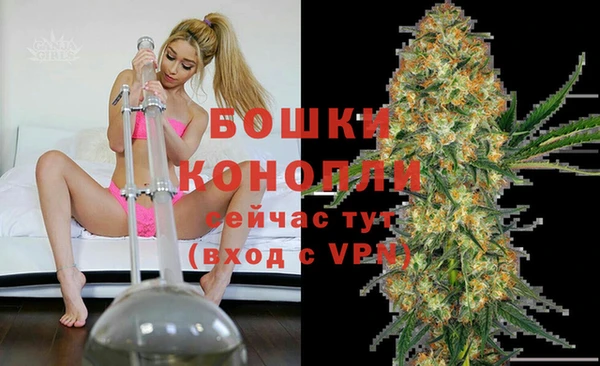 гидра Бронницы