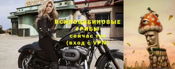 соль ск Бугульма
