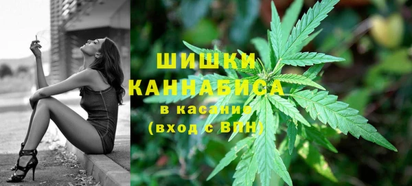 гидра Бронницы