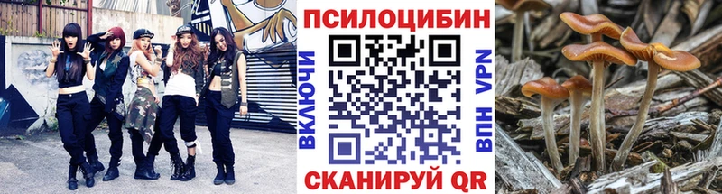 Галлюциногенные грибы мицелий  Купить где  Киржач 